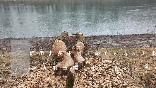 信用卡多少屬于嚴(yán)重透支(信用卡透支刑事標(biāo)準(zhǔn))