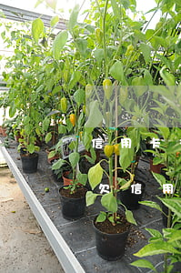 信用卡多少會(huì)逾期一天上征信-欠信用卡多少