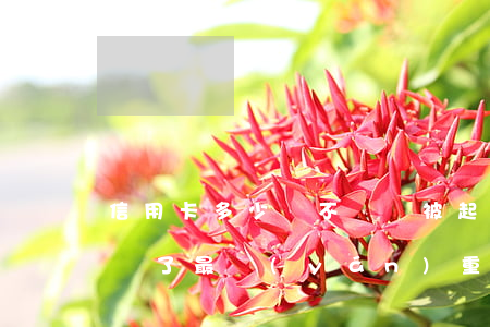 信用卡多少錢不還會被起訴(信用卡不還被起訴了最嚴(yán)重什么后果盼多久)