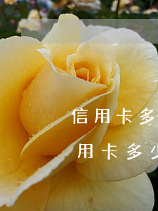 信用卡多少錢會(huì)坐牢-欠平安信用卡多少錢會(huì)坐牢