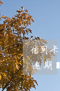 信用卡多少錢逾期會(huì)上門(信用卡逾期說要上門是真的嗎)