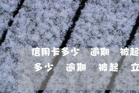 信用卡多少錢逾期會被起訴立案的-信用卡多少錢逾期會被起訴立案的呢