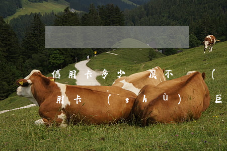 信用卡多少額度不還會(huì)判刑(欠信用卡數(shù)額巨大能判幾年)