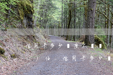 信用卡多少額度不還負(fù)法律責(zé)任-信用卡多少額度不還負(fù)法律責(zé)任呢