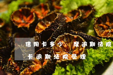 信用卡多少額度逾期法院會受理 一萬多信用卡逾期法院受理嗎