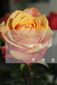 信用卡多少額度逾期立案 十幾個(gè)信用卡全部逾期了