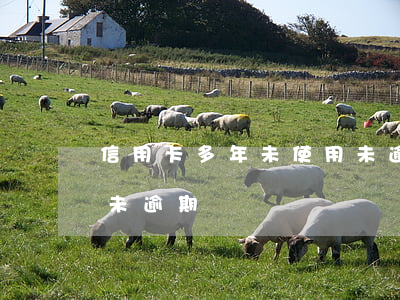 信用卡多年未使用未逾期(信用卡多年未使用未逾期)