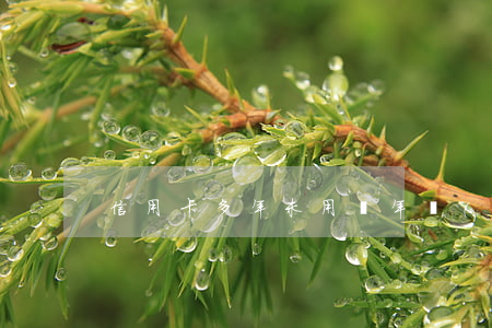 信用卡多年未用無年費(fèi)逾期
