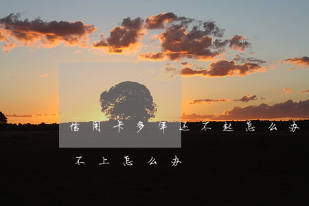 信用卡多年还不起怎么办(信用卡欠两年了还不上怎么办)