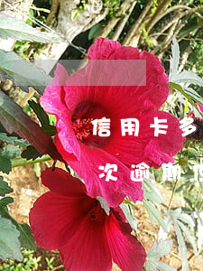 信用卡多張逾期先還哪個(gè)(信用卡多次逾期但是都還了)