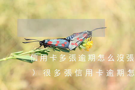 信用卡多張逾期怎么沒張還一點(diǎn)(很多張信用卡逾期怎么辦)