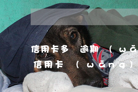 信用卡多張逾期網(wǎng)貸幾十萬 欠信用卡網(wǎng)貸幾十萬