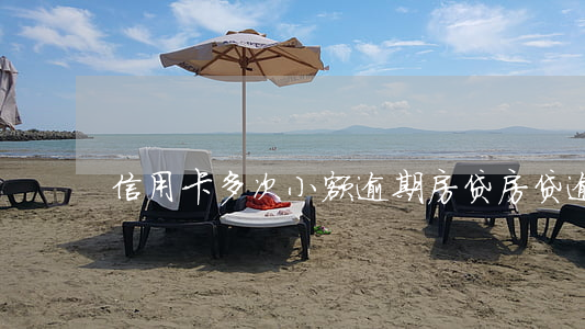 信用卡多次小额逾期房贷(房贷逾期次数多了)