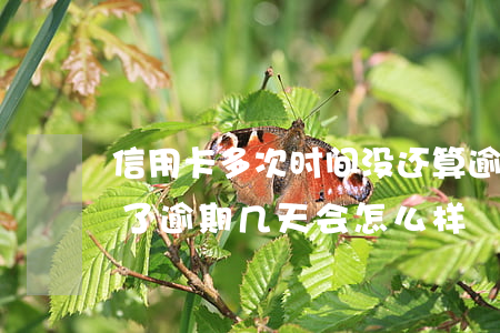 信用卡多次时间没还算逾期(信用卡不记得还了逾期几天会怎么样)