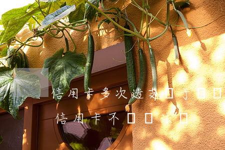 信用卡多次透支屬于違約嗎(惡意透支別人的信用卡不還違法嗎)