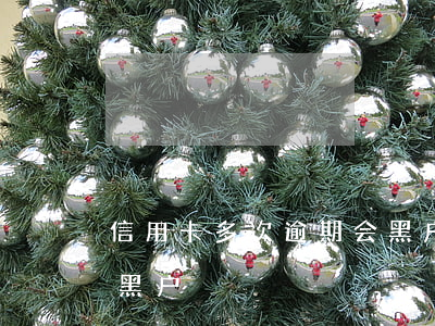 信用卡多次逾期会黑户吗(连续逾期几个月会黑户)