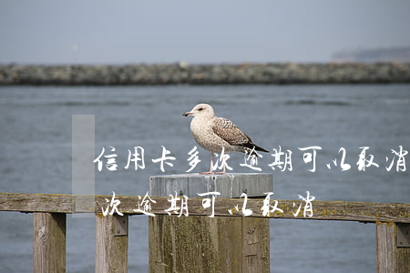 信用卡多次逾期可以取消記錄嗎-信用卡多次逾期可以取消記錄嗎怎么辦
