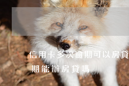 信用卡多次逾期可以房貸嗎(有一次信用卡逾期能辦房貸嗎)
