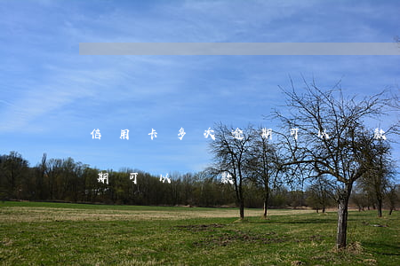 信用卡多次逾期可以貸款嗎(有兩次信用卡逾期可以貸款嗎)