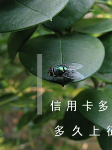 信用卡多次逾期多久上征信(信用卡多次逾期多久上征信報(bào)告)