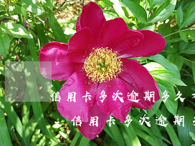 信用卡多次逾期多久才能恢復(fù)使用-信用卡多次逾期多久才能恢復(fù)使用額度