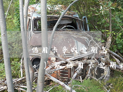信用卡多次逾期怎樣寫說明(因住院導(dǎo)致信用卡逾期如何寫說明)