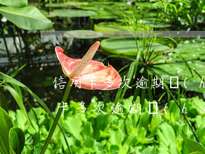 信用卡多次逾期會(huì)造成什么(信用卡多次逾期會(huì)造成什么)
