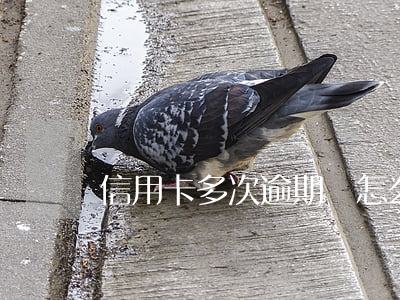 信用卡多次逾期會怎么樣