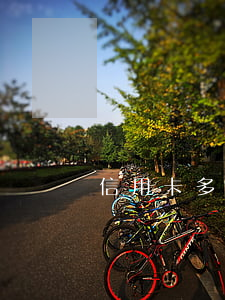 信用卡多次逾期短信通知已備案