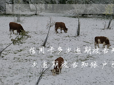 信用卡多次逾期被告知账户已锁定(信用卡多次逾期被告知账户已锁定怎么解决)