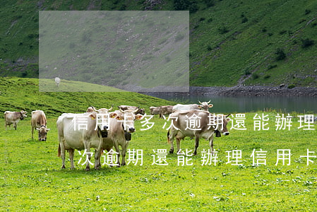 信用卡多次逾期還能辦理信用卡-信用卡多次逾期還能辦理信用卡嗎