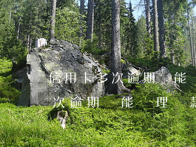 信用卡多次逾期還能辦理貸款么-信用卡多次逾期還能辦理貸款么嗎