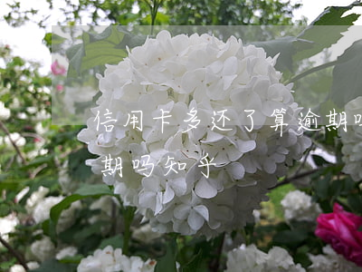 信用卡多还了算逾期吗-信用卡多还了算逾期吗知乎