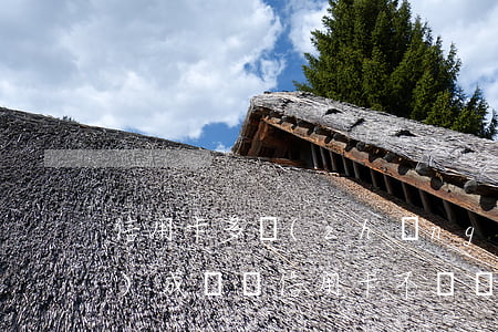 信用卡多長(zhǎng)不還構(gòu)成詐騙(信用卡不還構(gòu)成詐騙嗎)
