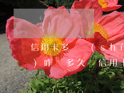 信用卡多長時(shí)間不還會(huì)咋樣(多久還信用卡)