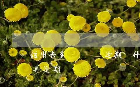信用卡多長時間會逾期-什么情況下信用卡算逾期