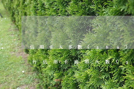 信用卡大多數(shù)逾期的有多久(各銀行信用卡逾期天數(shù))