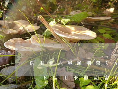 信用卡大量逾期會(huì)坐牢嗎(什么情況下信用卡逾期會(huì)坐牢)