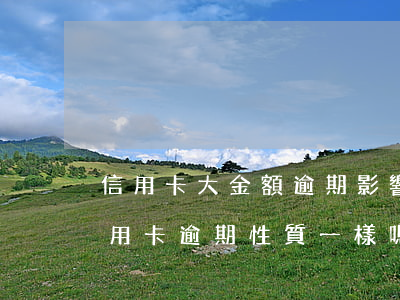 信用卡大金額逾期影響房貸嗎(房貸逾期和信用卡逾期性質一樣嗎)