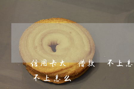 信用卡大額借款還不上怎么辦(信用卡借貸還不上怎么辦)
