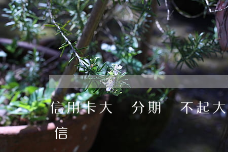 信用卡大額分期還不起(大額信用分期會上征信嗎)