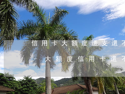 信用卡大額度透支還不起誰的責(zé)任-大額度信用卡還不上怎么辦
