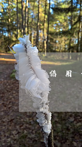 信用卡大額貸款逾期(信用卡大額逾期的后果)
