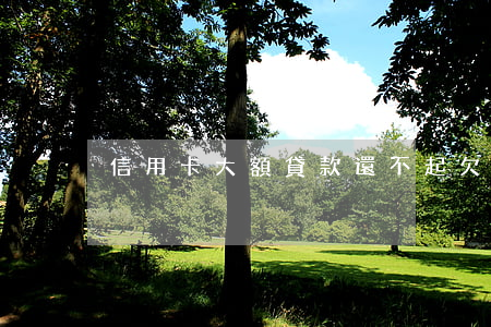 信用卡大額貸款還不起(欠信用卡貸款還不上)