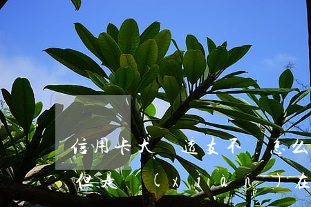 信用卡大額透支不還怎么辦(銀行卡透支想還但是現(xiàn)在還不上怎么辦)