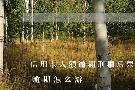 信用卡大額逾期刑事后果(因刑事案件信用卡逾期怎么辦)