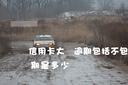 信用卡大額逾期包括不包括圓夢金-大額逾期是多少