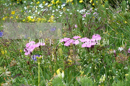 信用卡大額逾期如何應(yīng)對(duì)