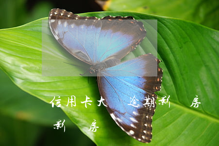 信用卡大額逾期影響房貸嗎(信用卡大額逾期影響房貸嗎)