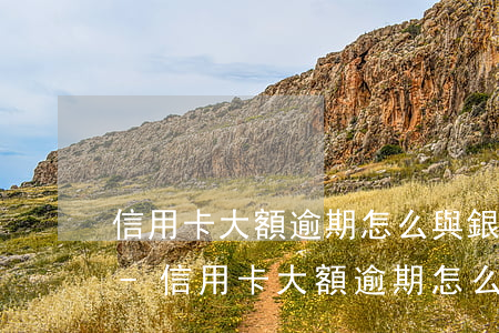 信用卡大額逾期怎么與銀行協(xié)商-信用卡大額逾期怎么與銀行協(xié)商還款